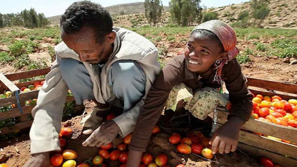 Lack of infrastructure, jobs drives rural youth to cities, says UN rural poverty agency head Lack of infrastructure, jobs drives rural youth to cities, says UN rural poverty agency head