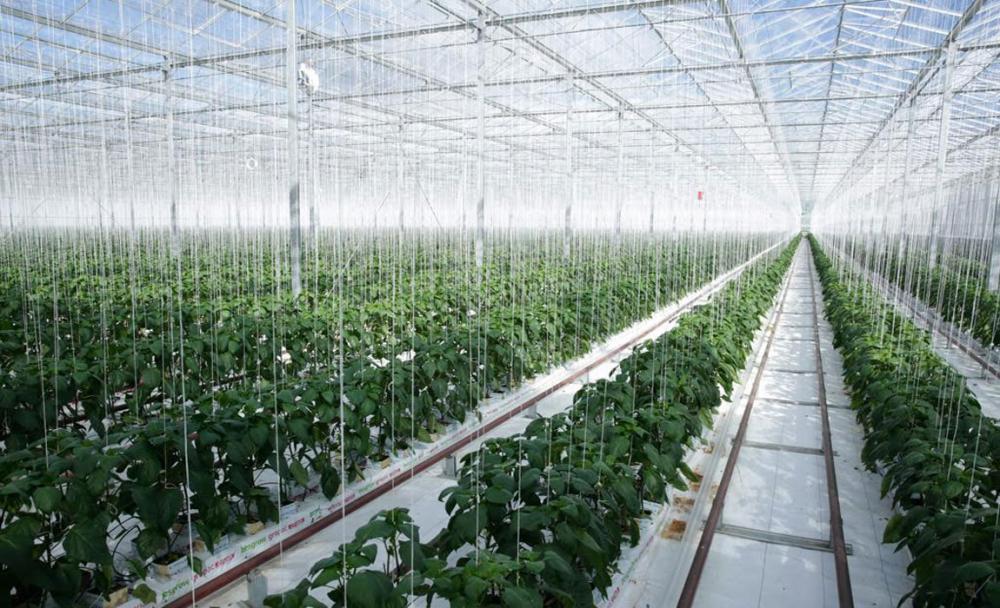 Smarter use of natural resources can inject $2 trillion into global economy by 2015 -UN Smarter use of natural resources can inject $2 trillion into global economy by 2015 -UN