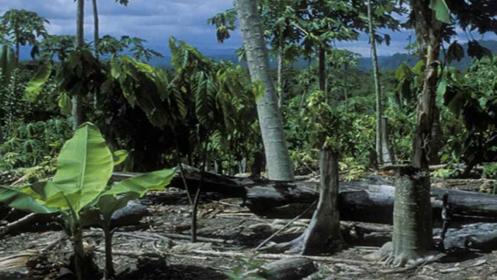 UN launches Environmental Rights Initiative UN launches Environmental Rights Initiative