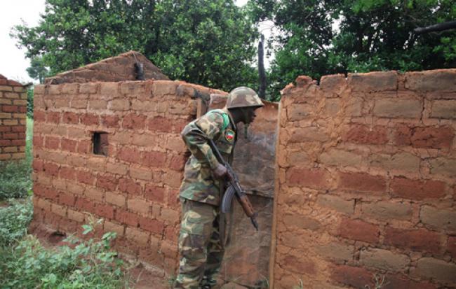 UNSC approves new peacekeeping force in CAR