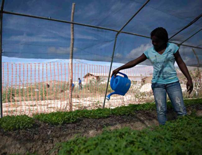 Ban urges climate-smart agriculture to steer food security