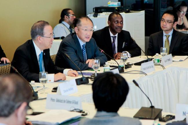 UN partners seek funds for sustainable energy 