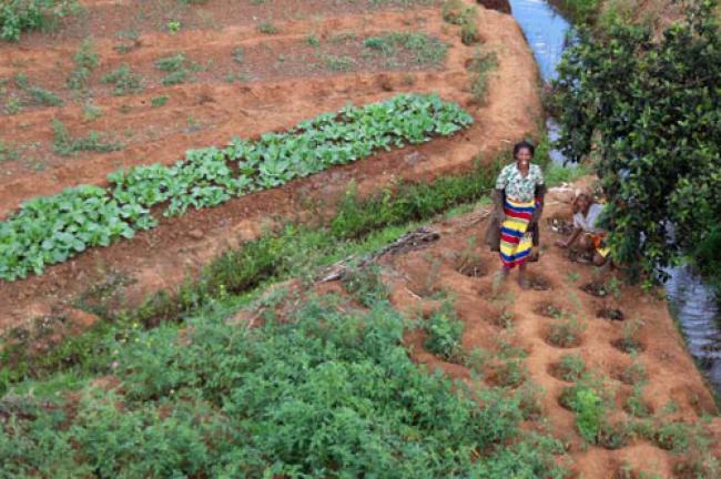 UN concerned by rising food insecurity in Madagascar