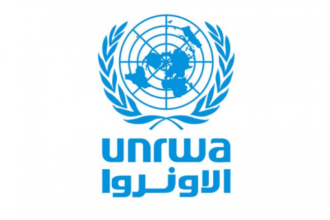 Veteran Red Cross official to head UN agency for refugees