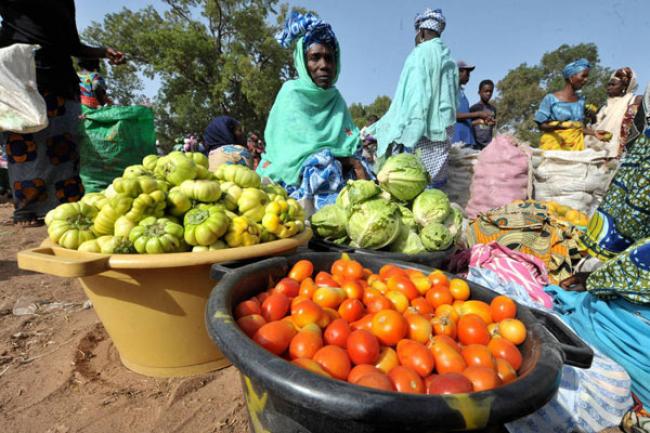 UN recognizes achievement of thirteen countries in eradicating hunger ahead of 2015-deadline