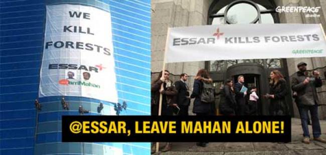 Greenpeace forest activists scale Essar HQ