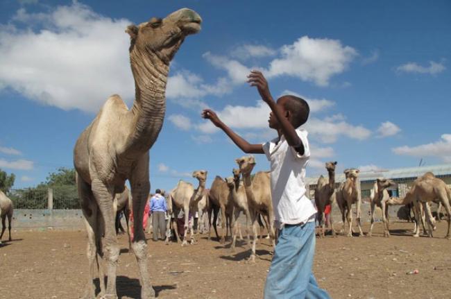 Over one million Somalis in danger as food crisis worsens, warns UN agency