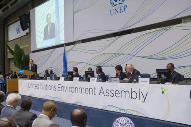 Ban urges new UN body to galvanize global sustainability agenda