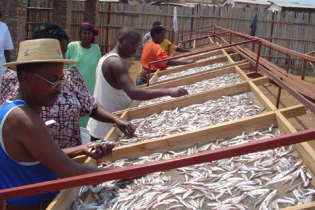 New fish drying method in Burundi improves lives for local communities: UN