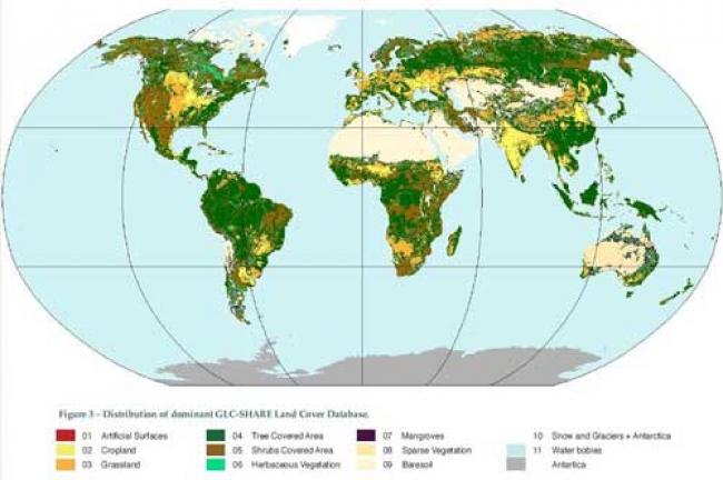 UN launches database on global land use