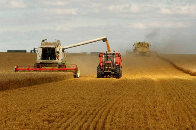 World food prices dip to lowest level since July 2010
