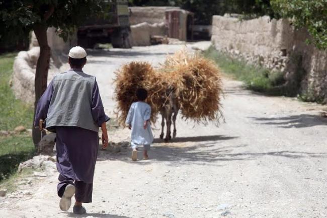 UN and partners report ‘extremely alarming’ food insecurity figures in Afghanistan