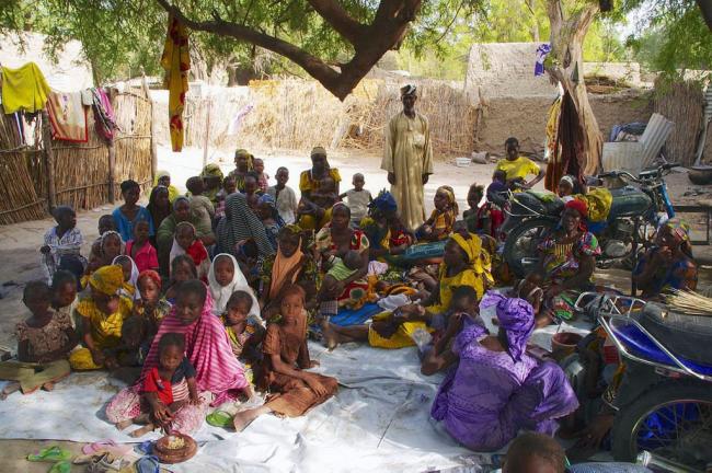 Security Council condemns Boko Haram attacks in Nigeria, Chad