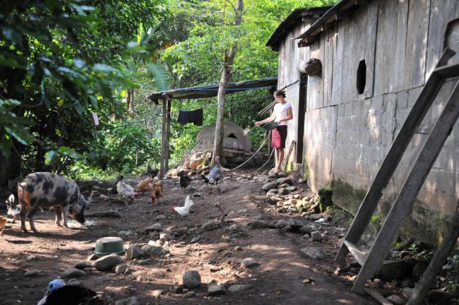 Caribbean and Latin American Summit take up UN agency anti-hunger plan