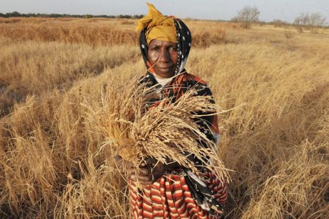 Joint UN report says rate of world hunger dropping amid wider eradication efforts Joint UN report says rate of world hunger dropping amid wider eradication efforts