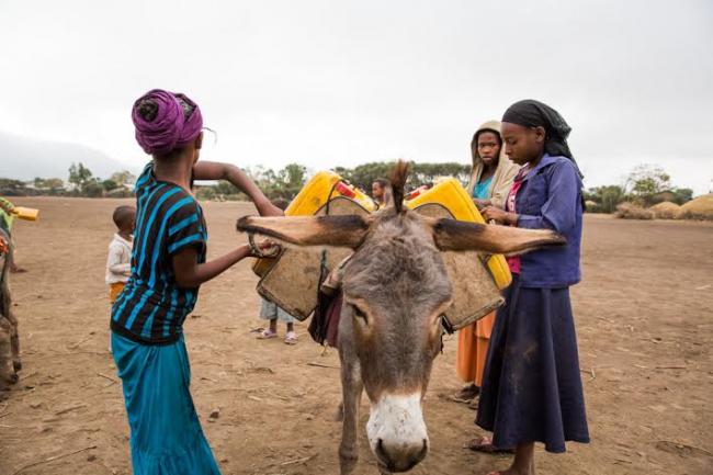 Education and reproductive health for girls key to sustainable development – UN