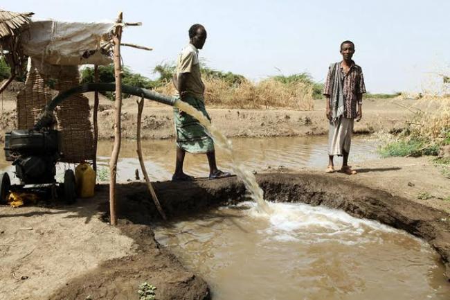 Ethiopian farmers need urgent assistance amid major drought, warns UN agency