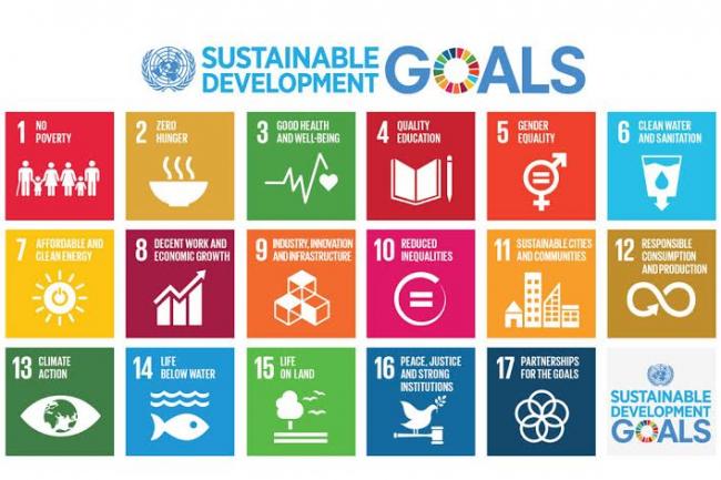 UN statistical body agrees to global indicators to measure sustainable development goals