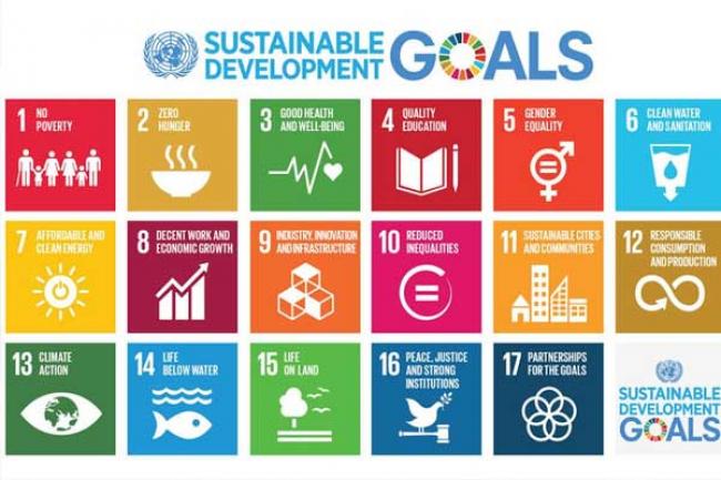 E-government a powerful tool to implement global sustainability goals, UN survey finds