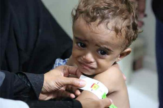 'An entire generation could be crippled by hunger' in Yemen – UN food relief agency