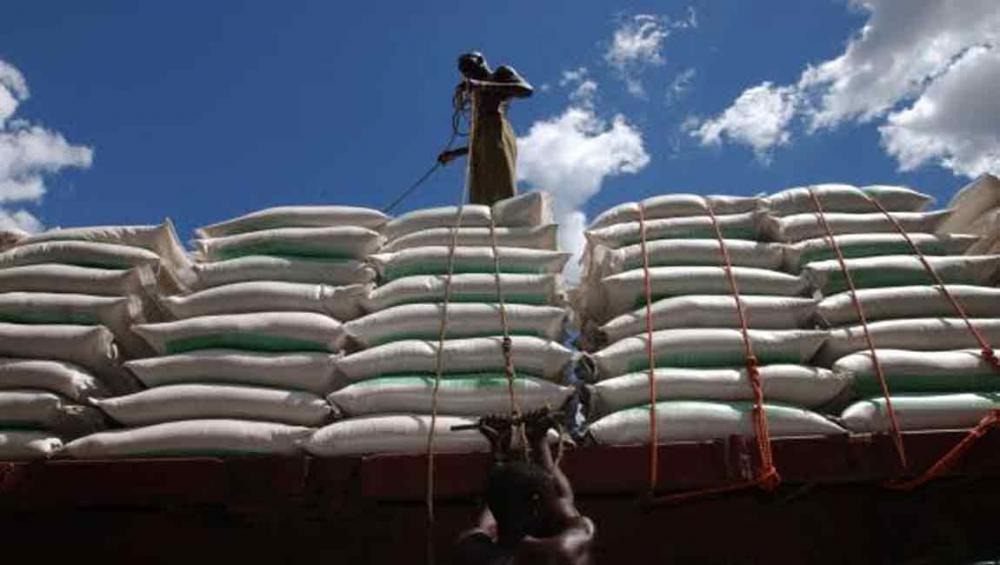 Rising shipping costs set to lift the global food import bill to more than $1.3 trillion – UN agency Rising shipping costs set to lift the global food import bill to more than $1.3 trillion – UN agency