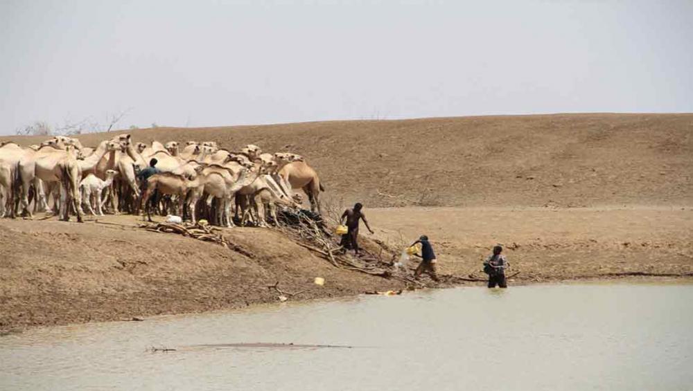 UN warns of worsening hunger in East Africa amid third consecutive failed rainy season