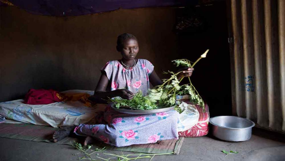 Harvest season provides meagre respite to South Sudan’s ongoing hunger crisis