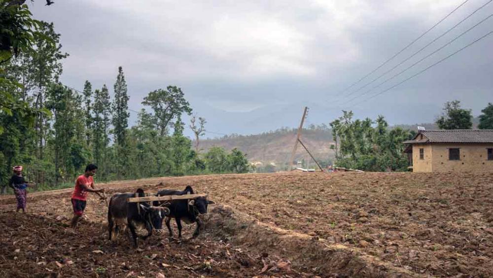 Global hunger rising again, driven by conflict and climate change – UN report