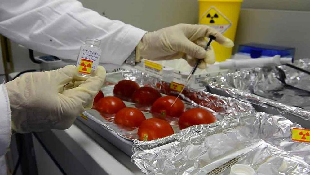 UN agencies explore nuclear applications to combat food fraud and contamination UN agencies explore nuclear applications to combat food fraud and contamination