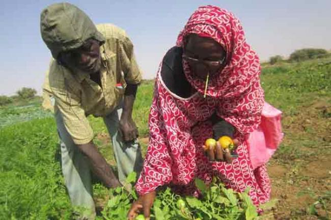 Mauritania aims to boost food production through new UN agency agreement