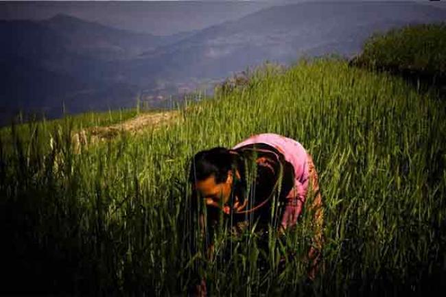 UN agency urges support for small farmers to help them not just get by, but thrive and feed others