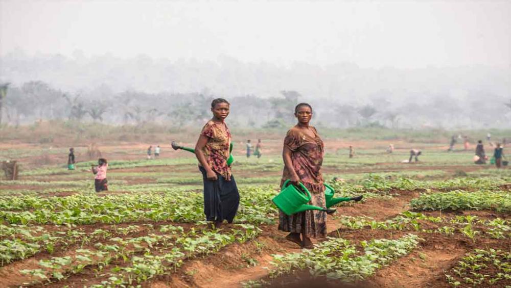 Thousands in DR Congo’s Kasais to benefit from UN food, nutrition efforts, but challenges remain