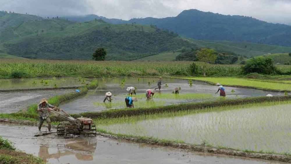 UN agricultural agency links food security and climate change in new guidelines