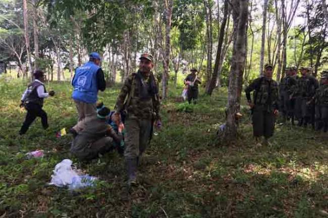 'Historic' day as last FARC-EP members gather to turn in arms – UN mission in Colombia