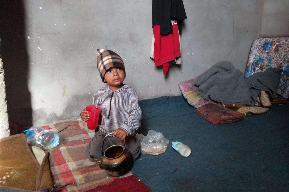 UN agriculture agency and World Bank launch new initiative to avert famine in Yemen