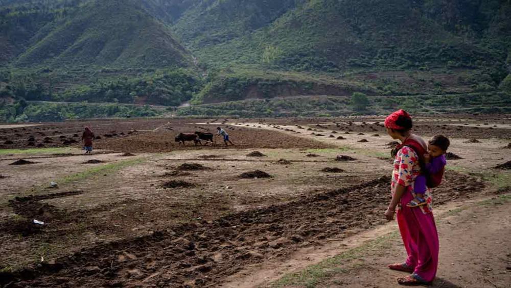 Urgent action needed to address rising global hunger, says UN agency head Urgent action needed to address rising global hunger, says UN agency head