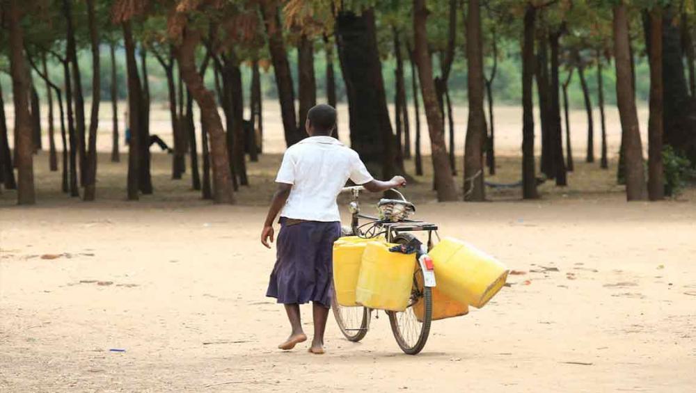 Conflicts, climatic change drive food insecurity and undernourishment in sub-Saharan Africa – UN