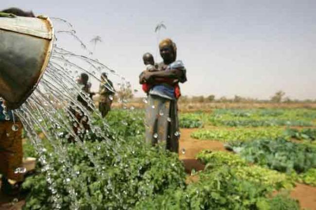 Sustainable agriculture, better-managed water supplies, vital to tackling water-food nexus – UN