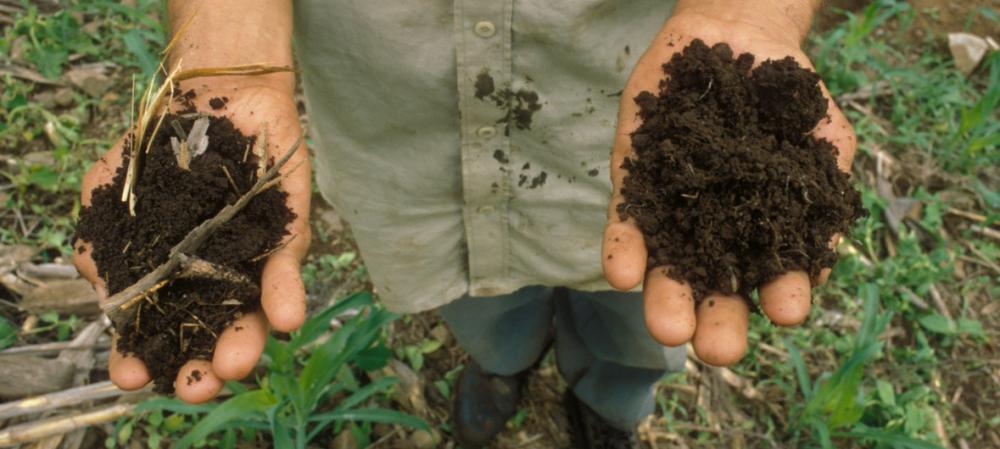 To beat hunger and combat climate change, world must ‘scale-up’ soil health – UN