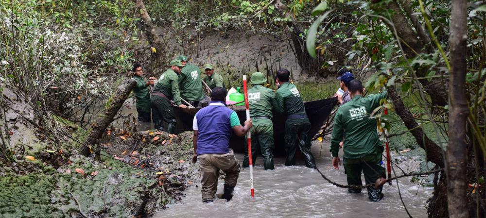 Bangladesh: World Heritage Site threatened by ‘heedless industrialisation’ - UN expert