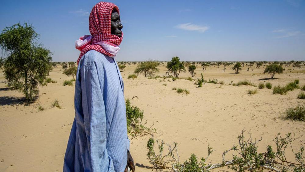 Climate Change Focus: Lake Chad trees keep deadly drought at bay