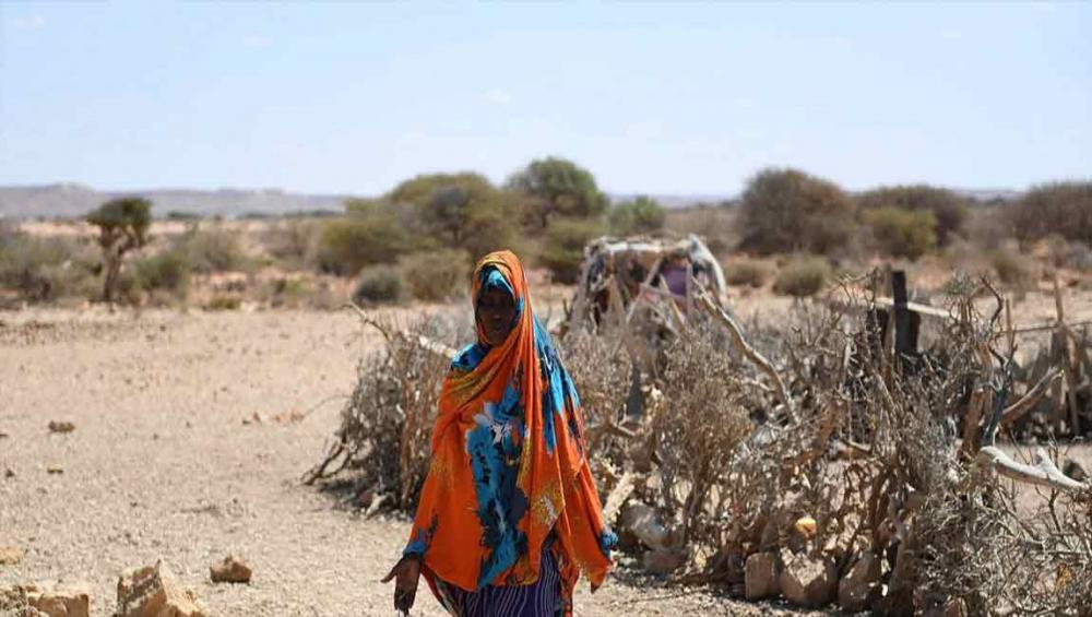 ‘We are not out of the woods yet’ on drought relief efforts, warns top UN aid official in Somalia