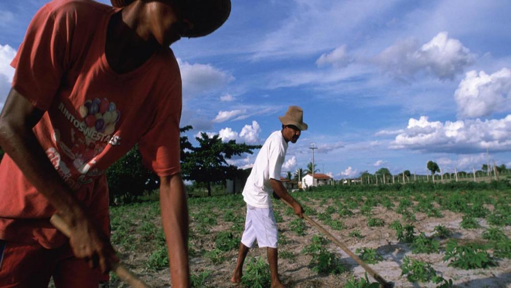 After decade of progress, rural areas of Latin America, Caribbean slide back into poverty – UN report