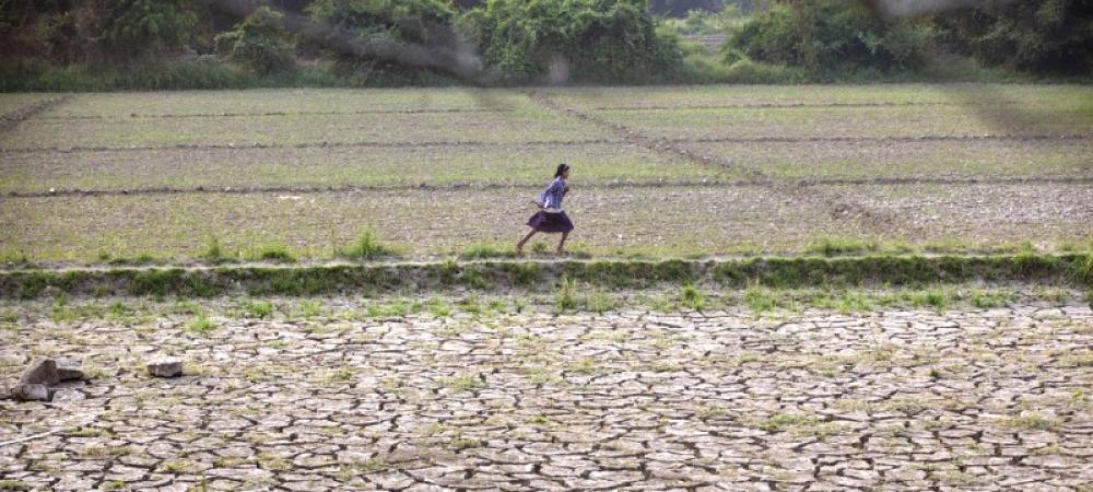 Hunger rates remain high amid conflict, climate shocks, warns UN food security report