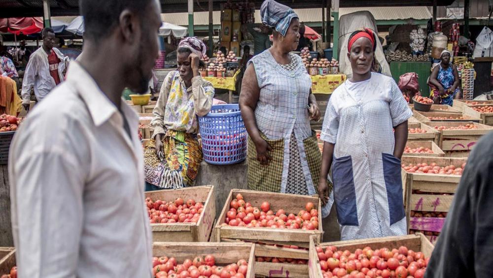 Sustainable farming, ‘key’ to world free of hunger, malnutrition, says UN agriculture chief