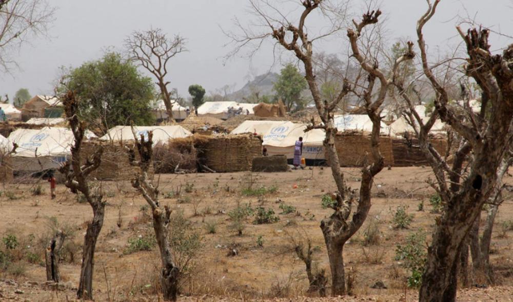 Africa’s Lake Chad Basin: Over $2.1 billion pledged, to provide comprehensive crisis response