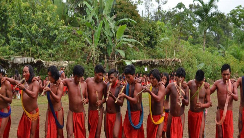 Murder of Brazilian indigenous leader a ‘worrying symptom’ of land invasion