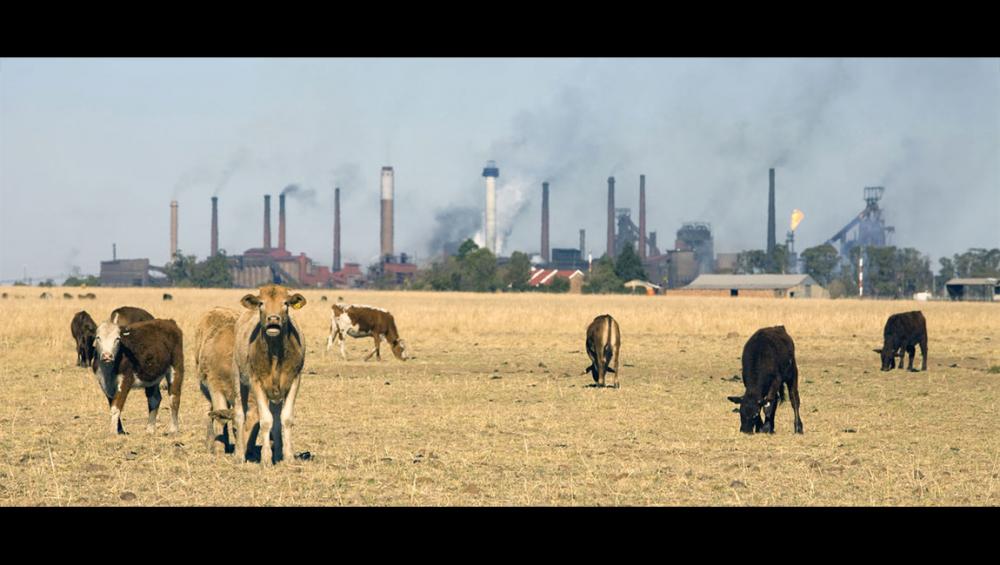'Act now with ambition and urgency' to tackle the world’s ‘grave climate emergency’, UN chief urges UAE meeting 'Act now with ambition and urgency' to tackle the world’s ‘grave climate emergency’, UN chief urges UAE meeting