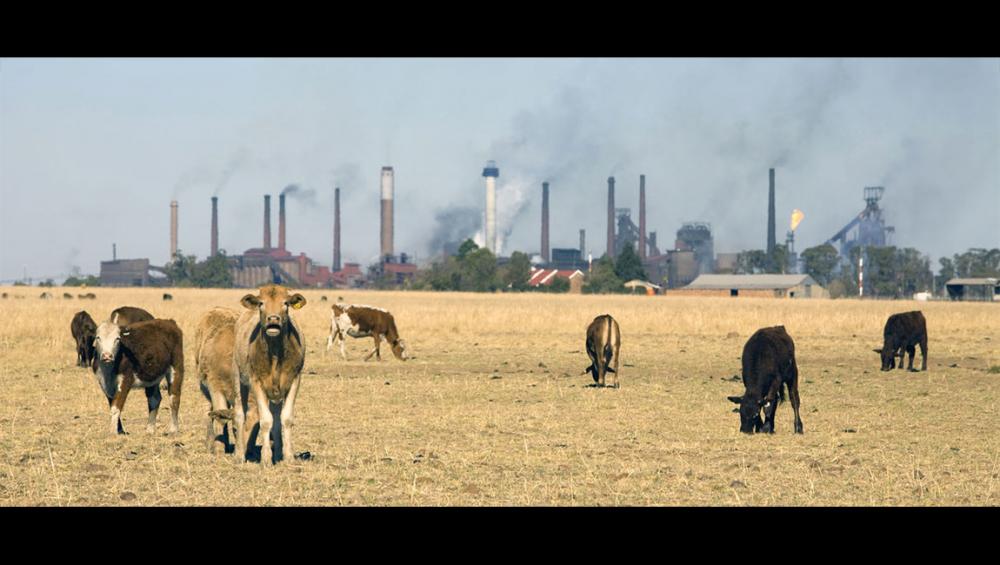 'Act now with ambition and urgency' to tackle the world’s ‘grave climate emergency’, UN chief urges UAE meeting