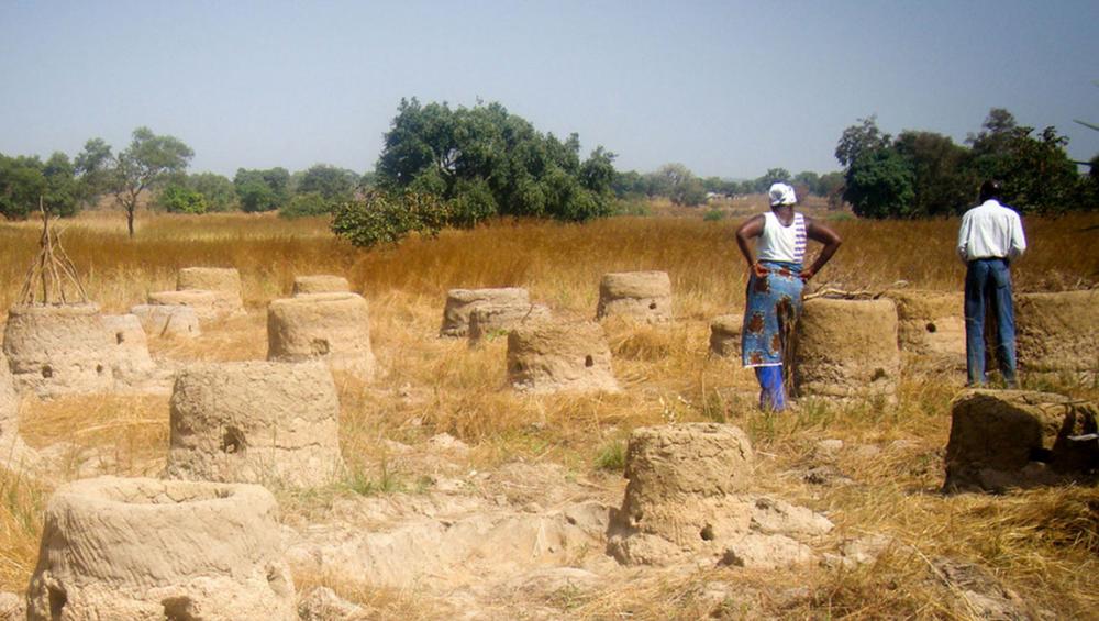 Delhi Declaration: Countries agree to make ‘land degradation neutrality’ by 2030, a national target for action